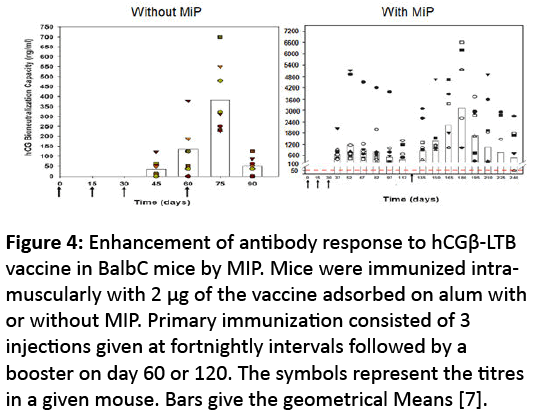 reproductive-immunology-Enhancement-antibody-response