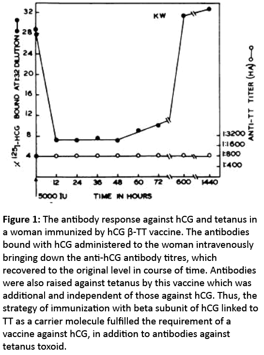 reproductive-immunology-antibody-response-against-hCG